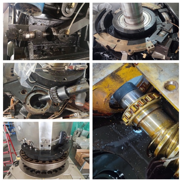 (gu)(ni)̖(ho)ƬC(j)S